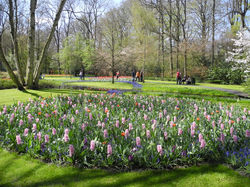 olanda-2013 (75)
