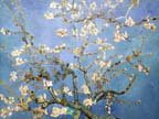 olanda-2013 (218)