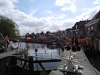 olanda-2013 (339)