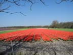 olanda-2013 (362)