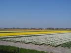 olanda-2013 (371)