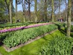 olanda-2013 (386)