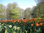 olanda-2013 (393)