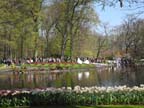 olanda-2013 (395)