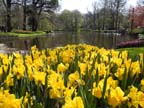 olanda-2013 (399)