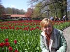 olanda-2013 (401)