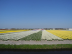 olanda-2013 (402)