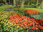 olanda-2013 (67)