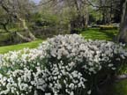 olanda-2013 (70)