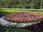olanda-2013 (73)