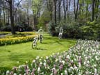 olanda-2013 (77)