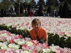 olanda-2013 (84)