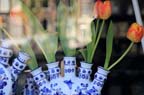 olanda-2013 (508)