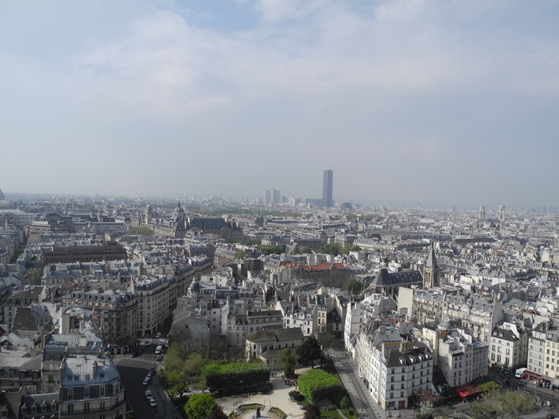 parigi (264)