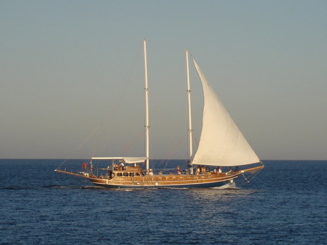 sharm (116)