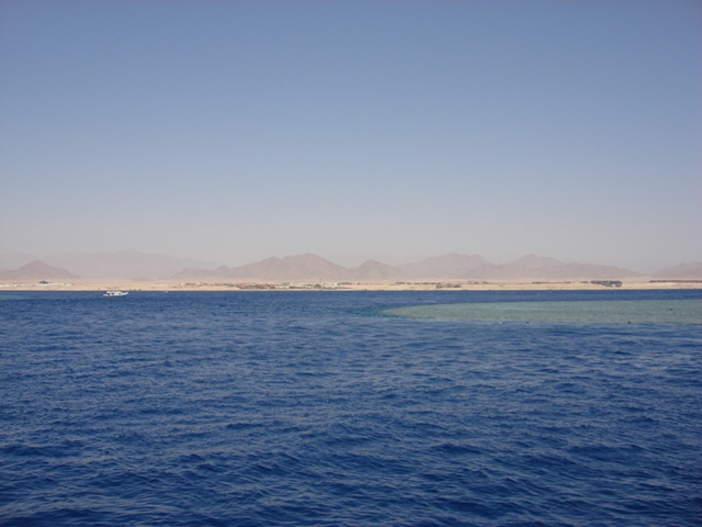 sharm (12)