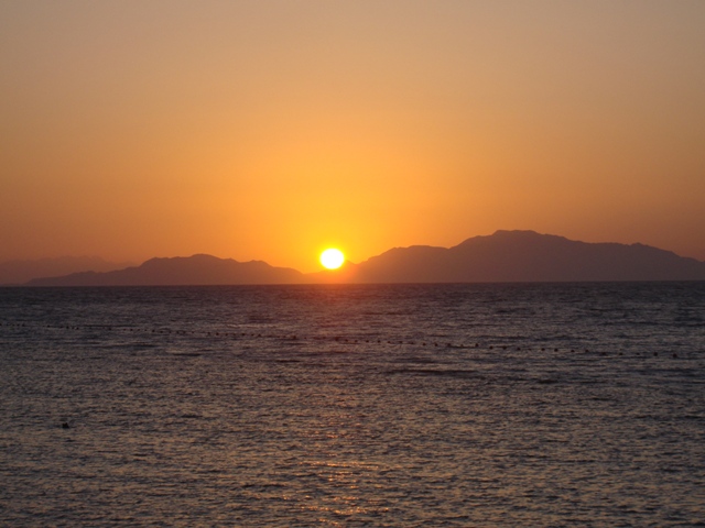 sharm (163)