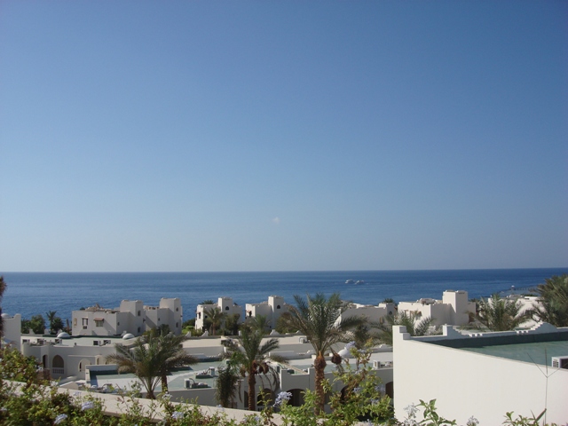 sharm (172)