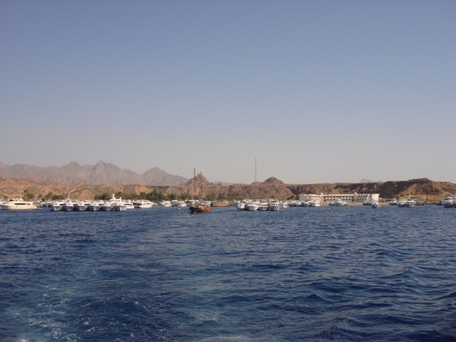 sharm (3)