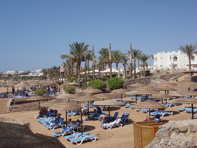 sharm (80)