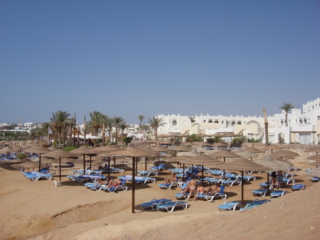 sharm (97)