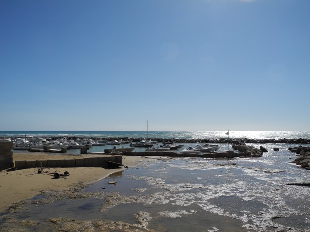d-punta-secca (10)