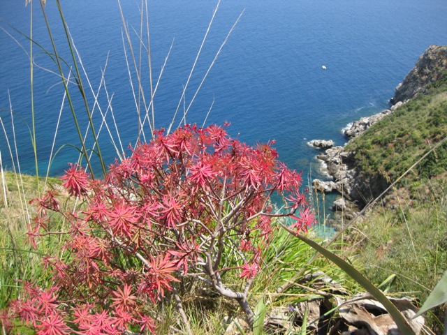 i-scopello (569)