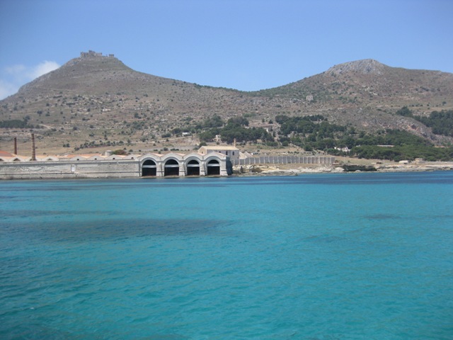 l-favignana (573)