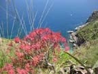 i-scopello (569)