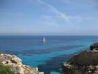 l-favignana (576)