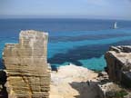l-favignana (577)