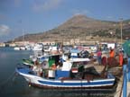 l-favignana (580)