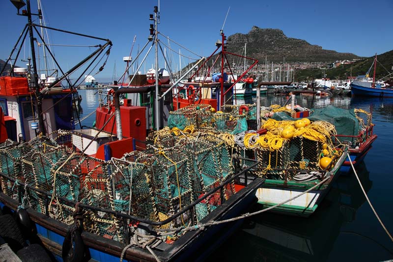cape-town (15)