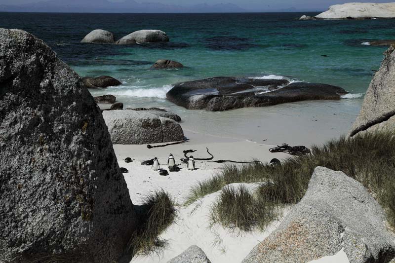 cape-town (17)
