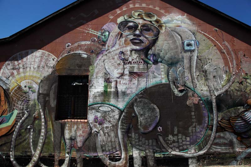 cape-town (25)