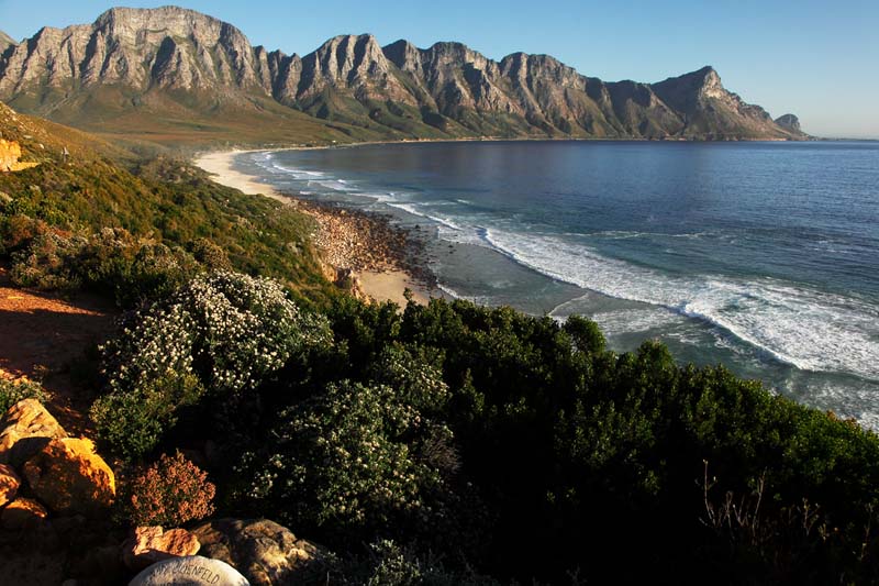 cape-town (8)