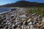 cape-town (19)