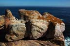 cape-town (20)