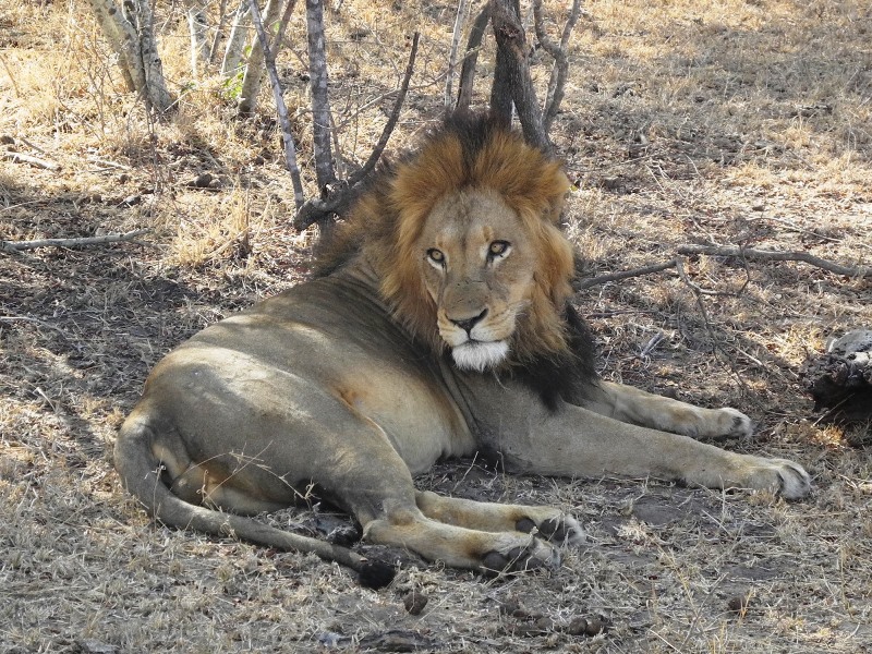 c-sud-africa (20)