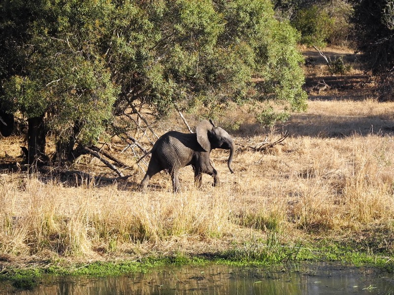 c-sud-africa (27)
