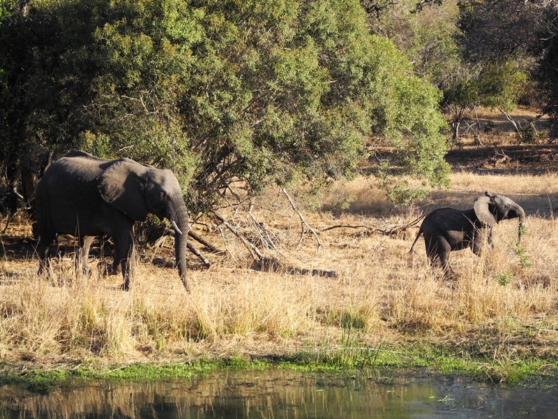 c-sud-africa (28)