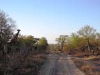 c-sud-africa (13)