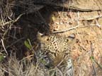 c-sud-africa (16)