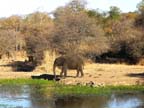 c-sud-africa (22)