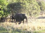 c-sud-africa (23)