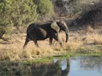 c-sud-africa (24)