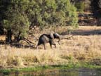 c-sud-africa (27)