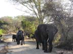 c-sud-africa (29)