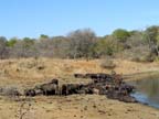 c-sud-africa (3)