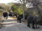 c-sud-africa (30)